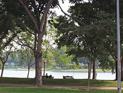 Waterfront Gold (D16), Condominium #309470911